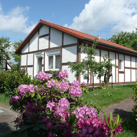 Ferienhaus Kogge Im Feriendorf Alt Bachenbrock المظهر الخارجي الصورة